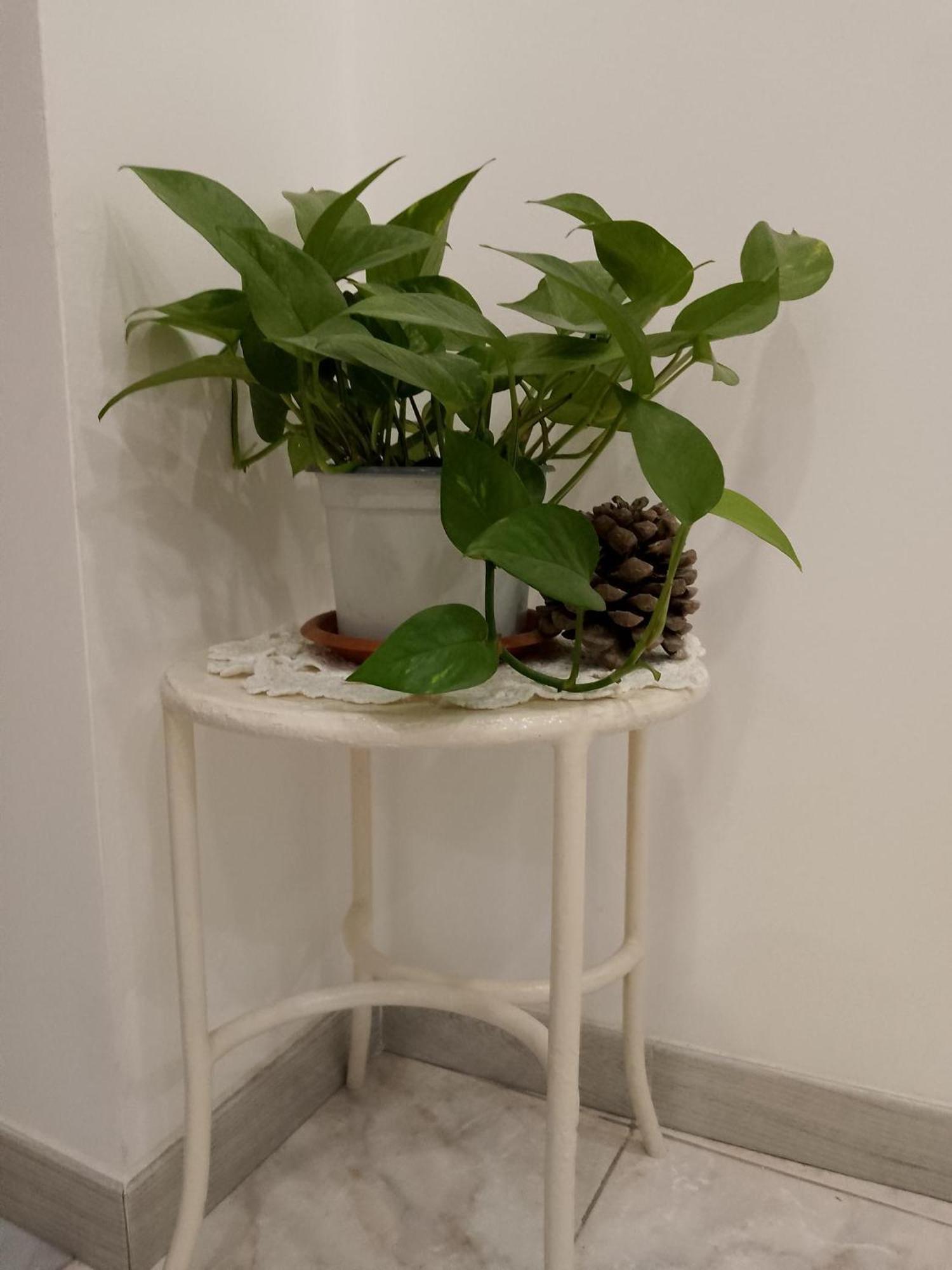 Le Casette Di Nonna Rosa In Fontanarossa Catania Airport المظهر الخارجي الصورة