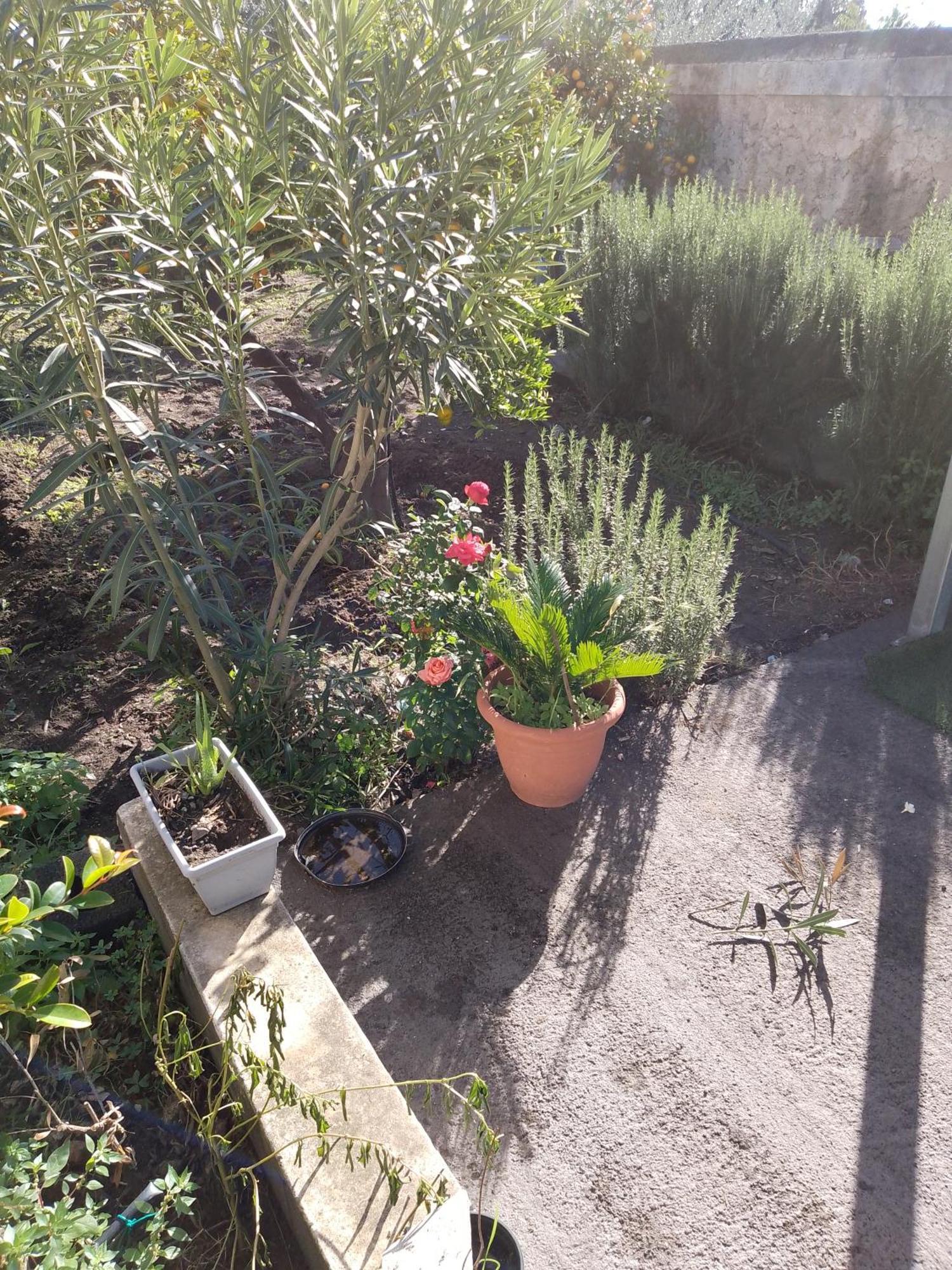 Le Casette Di Nonna Rosa In Fontanarossa Catania Airport المظهر الخارجي الصورة