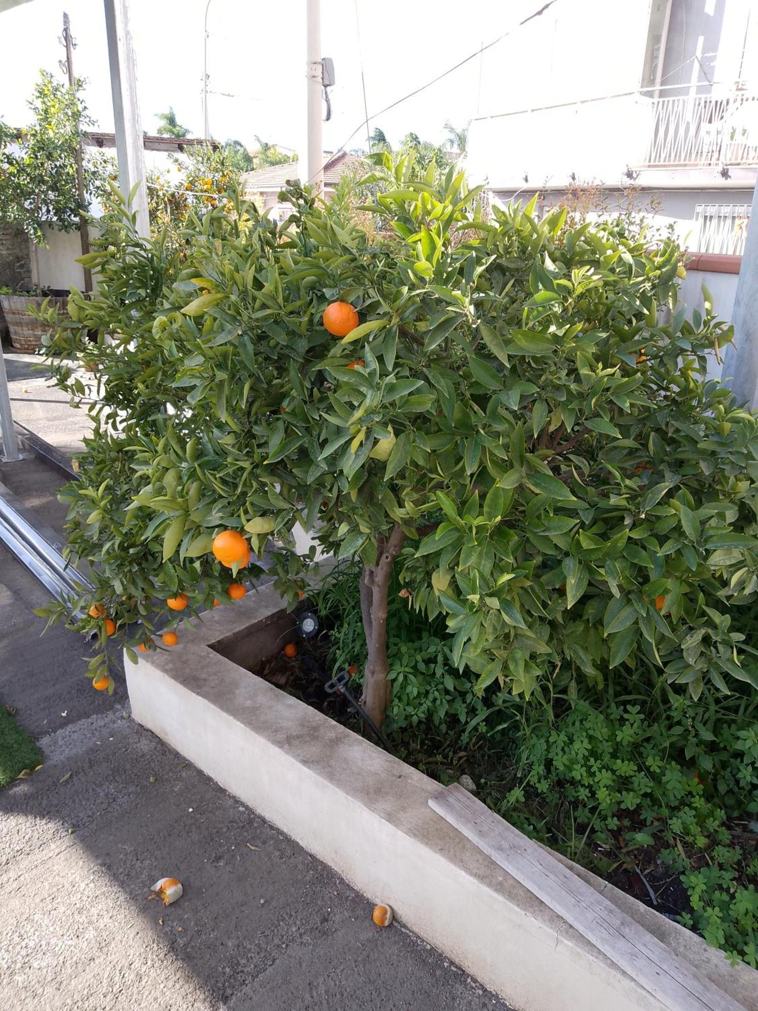 Le Casette Di Nonna Rosa In Fontanarossa Catania Airport المظهر الخارجي الصورة